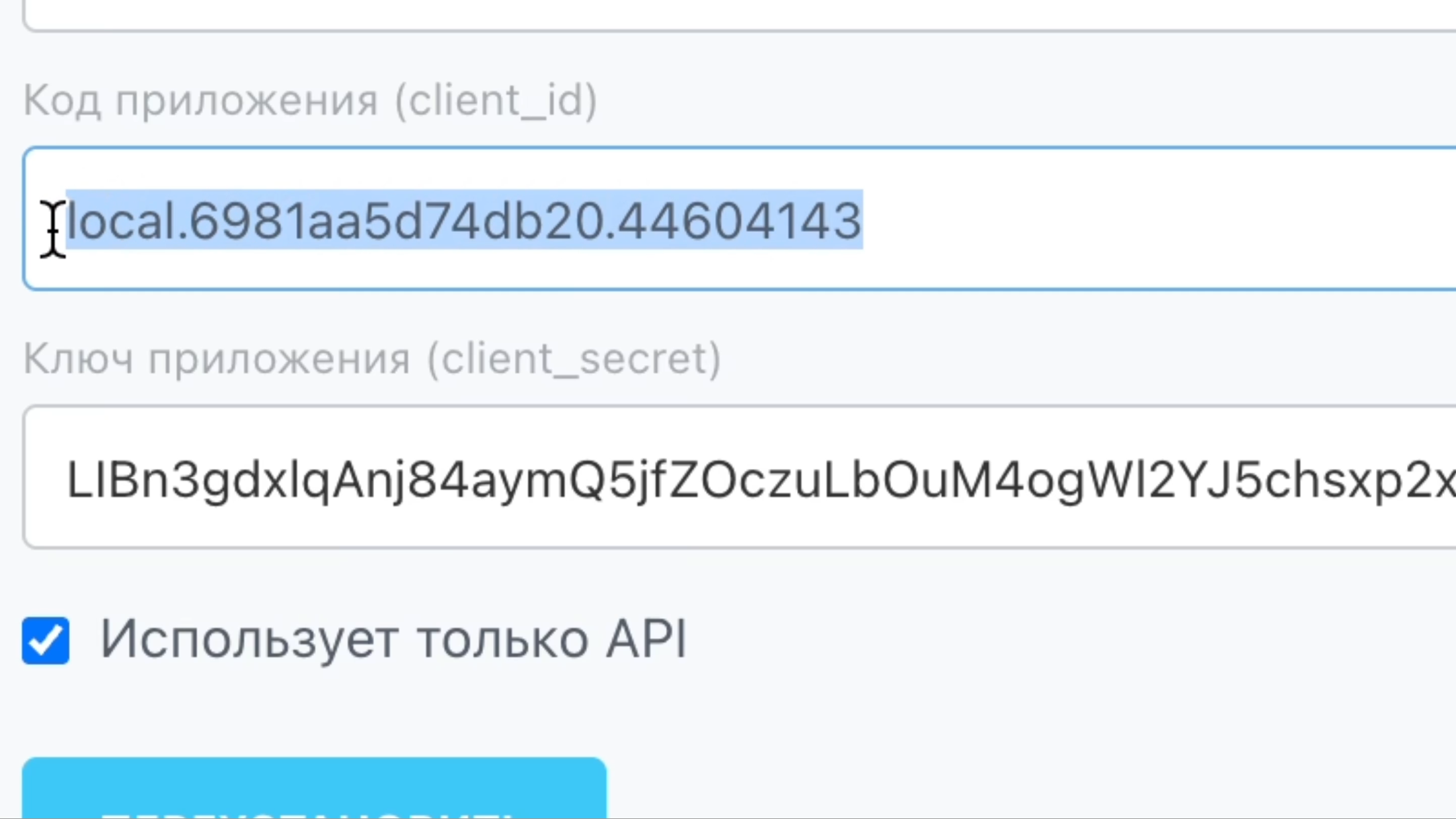Client ID и Client Secret после сохранения
